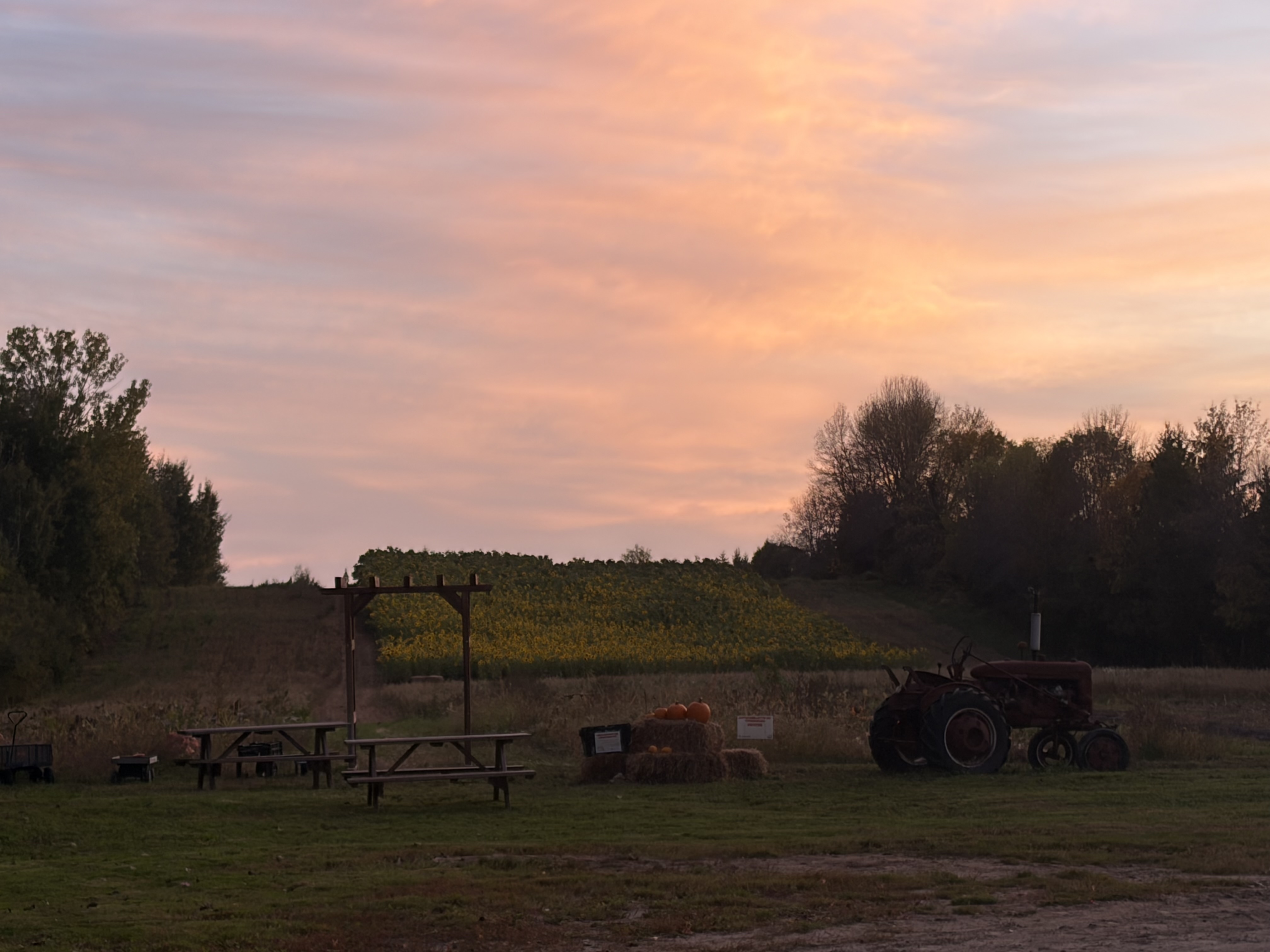 Lumineux automne
