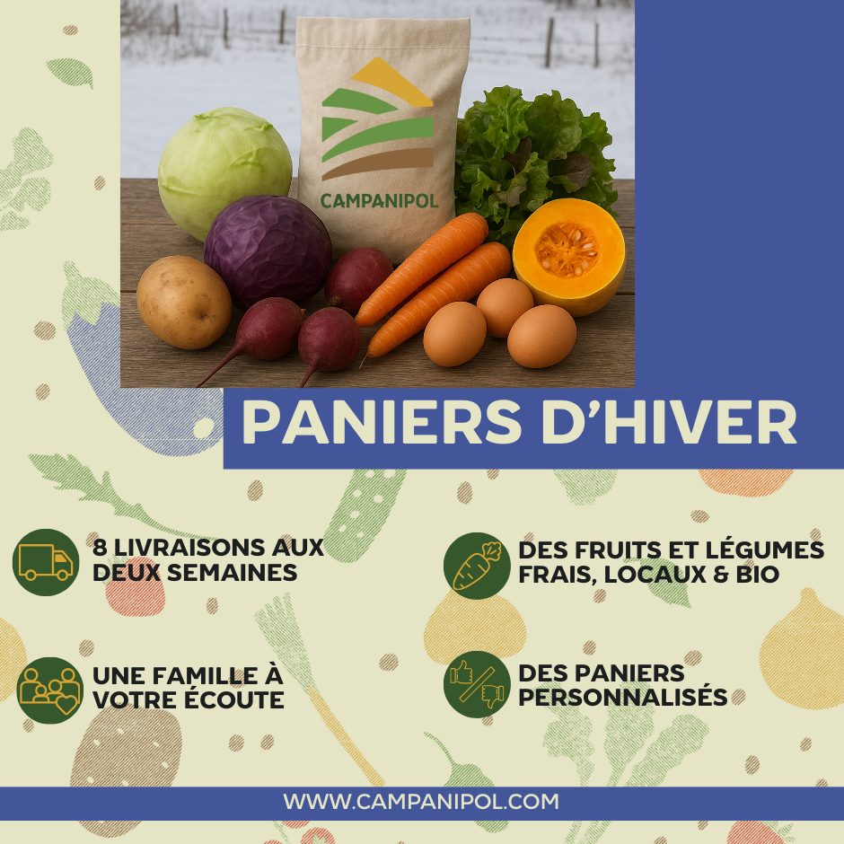 Paniers d'hiver
